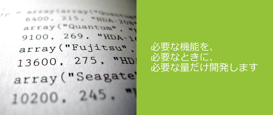 必要な機能を、必要なときに、必要な量だけ開発します